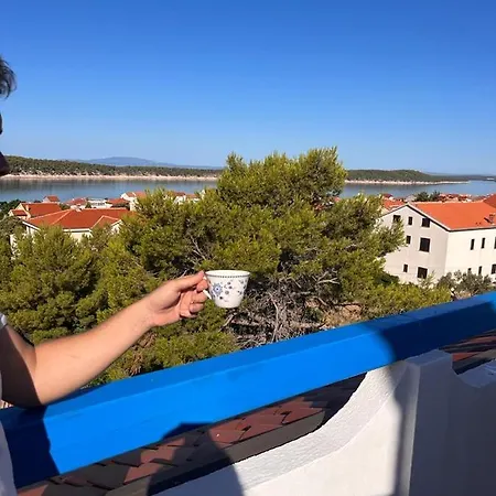 Sunny View